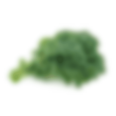 kale blurry - Native Reach