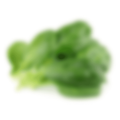 raw spinach blurry - Native Reach