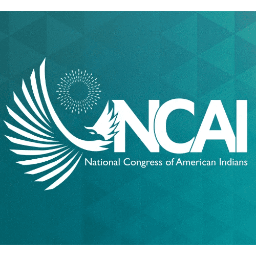 NR-NCAI-logo-1